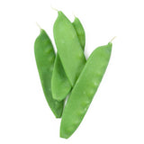 Oregon Sugar Pod Pea Seeds (Organic)