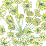 Mammoth Dill
