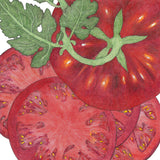 Brandywine Black Tomato Seeds (Organic)