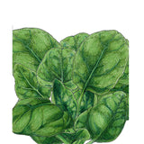 Verdil Spinach