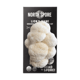 Organic Lion's Mane ‘Spray & Grow’ Mushroom Growing Kit