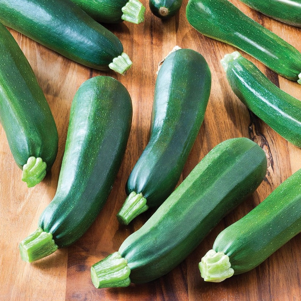 Zucchini Black Beauty