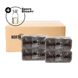 4-pack 'ShroomTek' + Spore Boostr All-in-One Mushroom Grow Bag