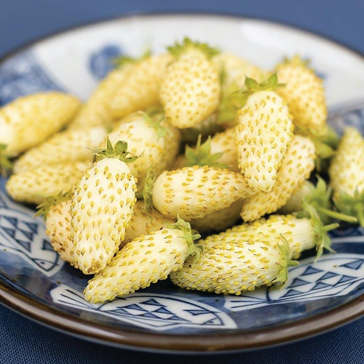 Yellow Wonder Strawberry (Everbearing) seeds