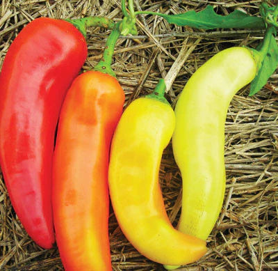 Sweet Banana (Long Sweet Hungarian) Pepper