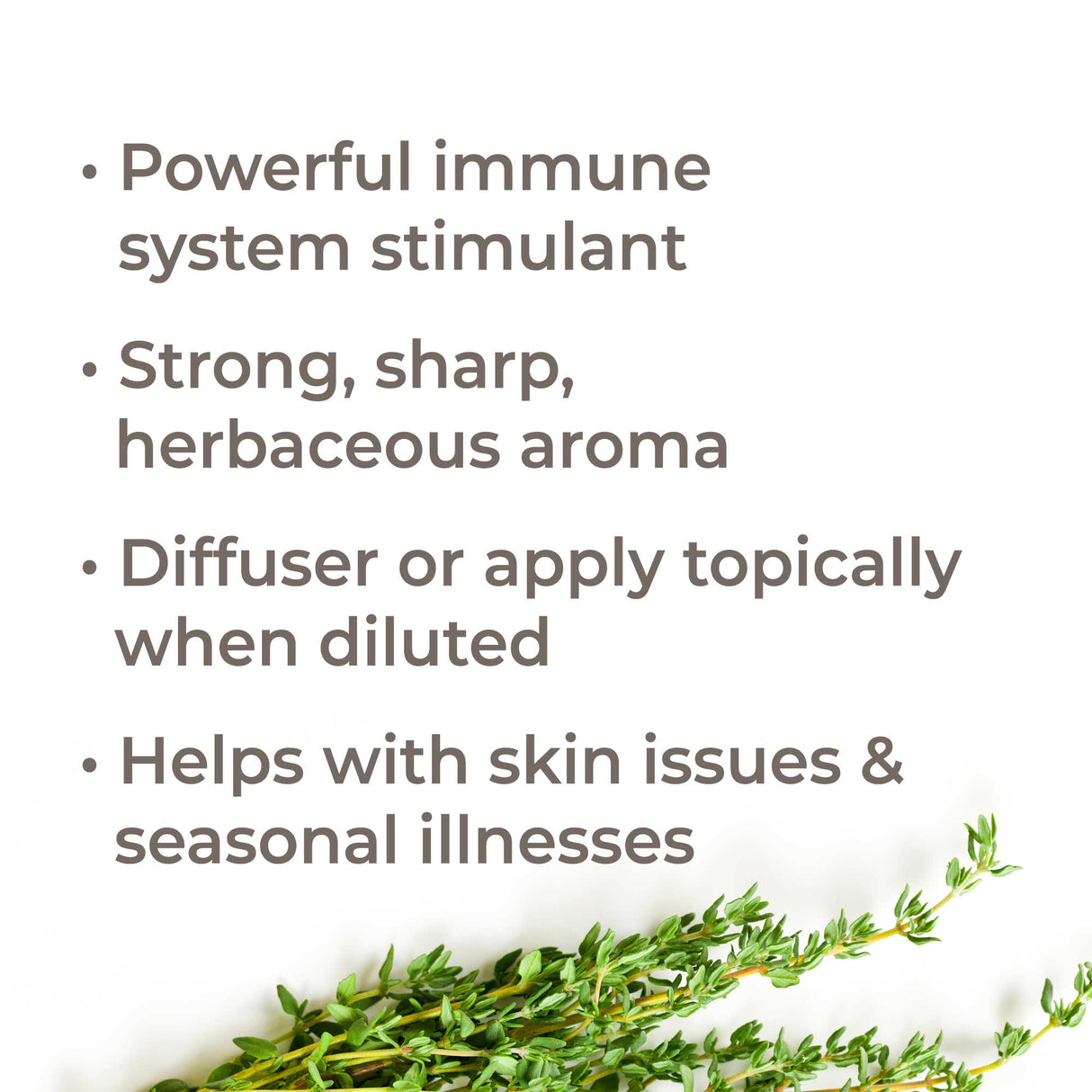 Thyme Thymol Essential Oil