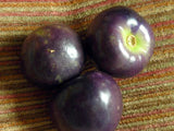 Purple Tomatillo