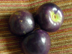 Purple Tomatillo