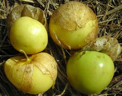 Tomate Verde Tomatillos