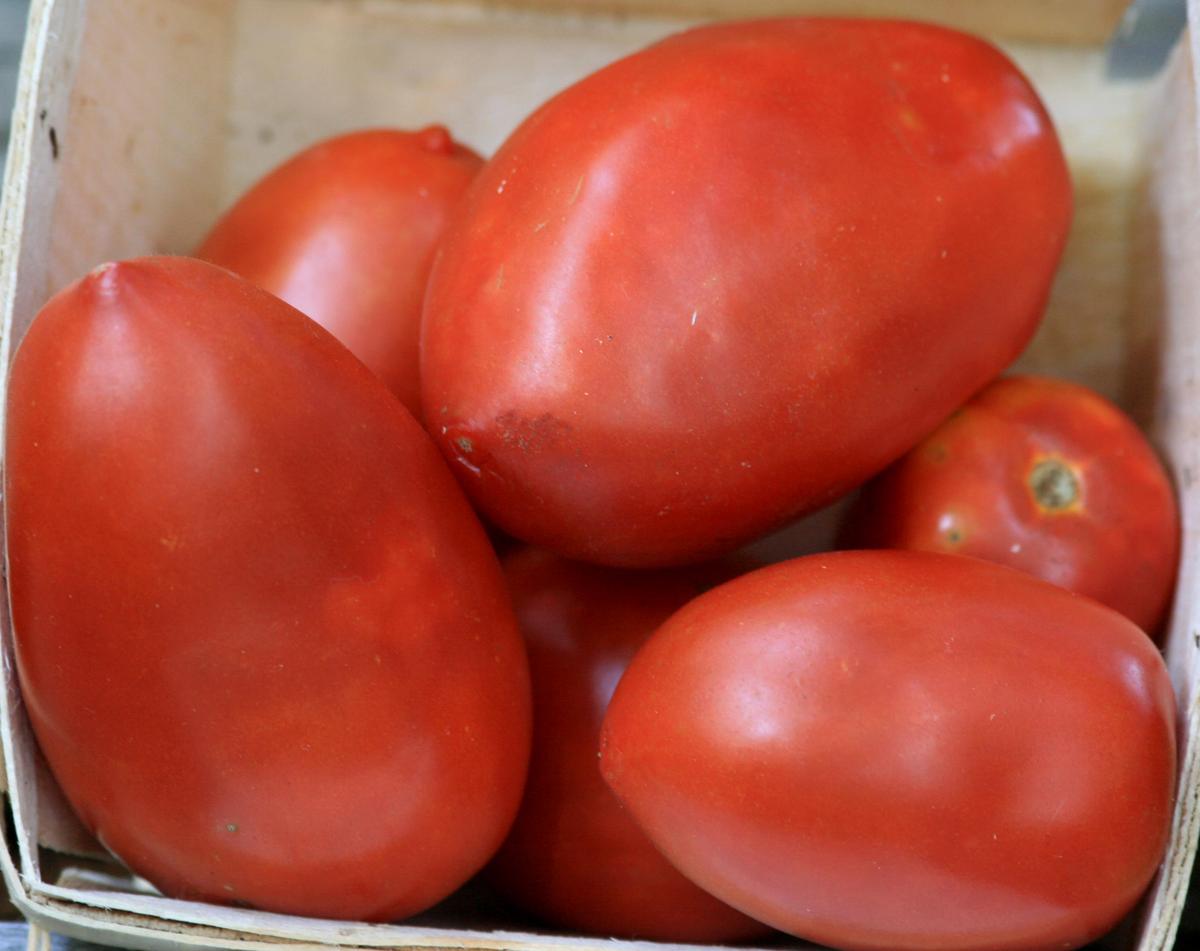 Amish Paste Tomato