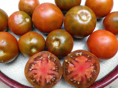 Black Prince Tomato