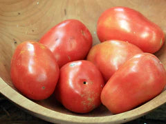 Hungarian Italian Paste Tomato