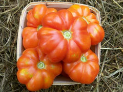 Large Red Tomato