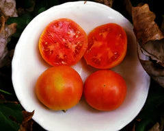 Long Keeper Tomato