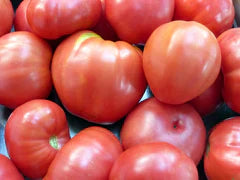 Oxheart Tomato