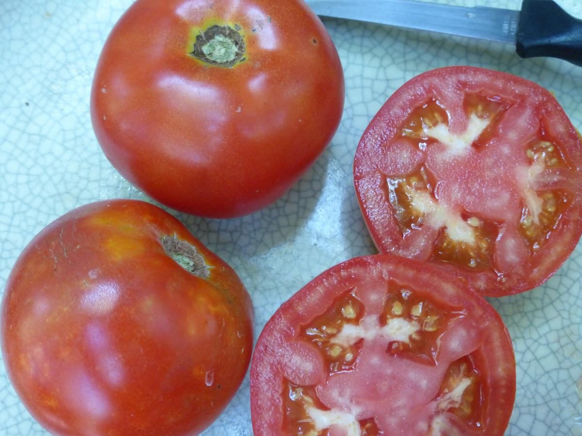 Tropic VFN Tomato
