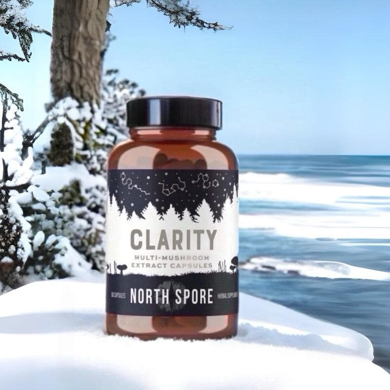 Organic ‘Clarity’ Mushroom Capsules (High Potency)