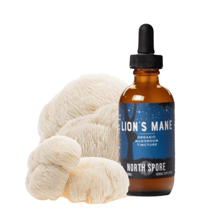 Organic Lion's Mane Mushroom Tincture