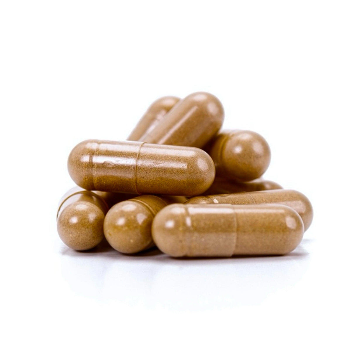 Organic ‘Spectrum 10’ Mushroom Capsules (120 ct)